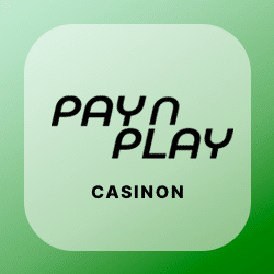 Pay N Play casinon logo